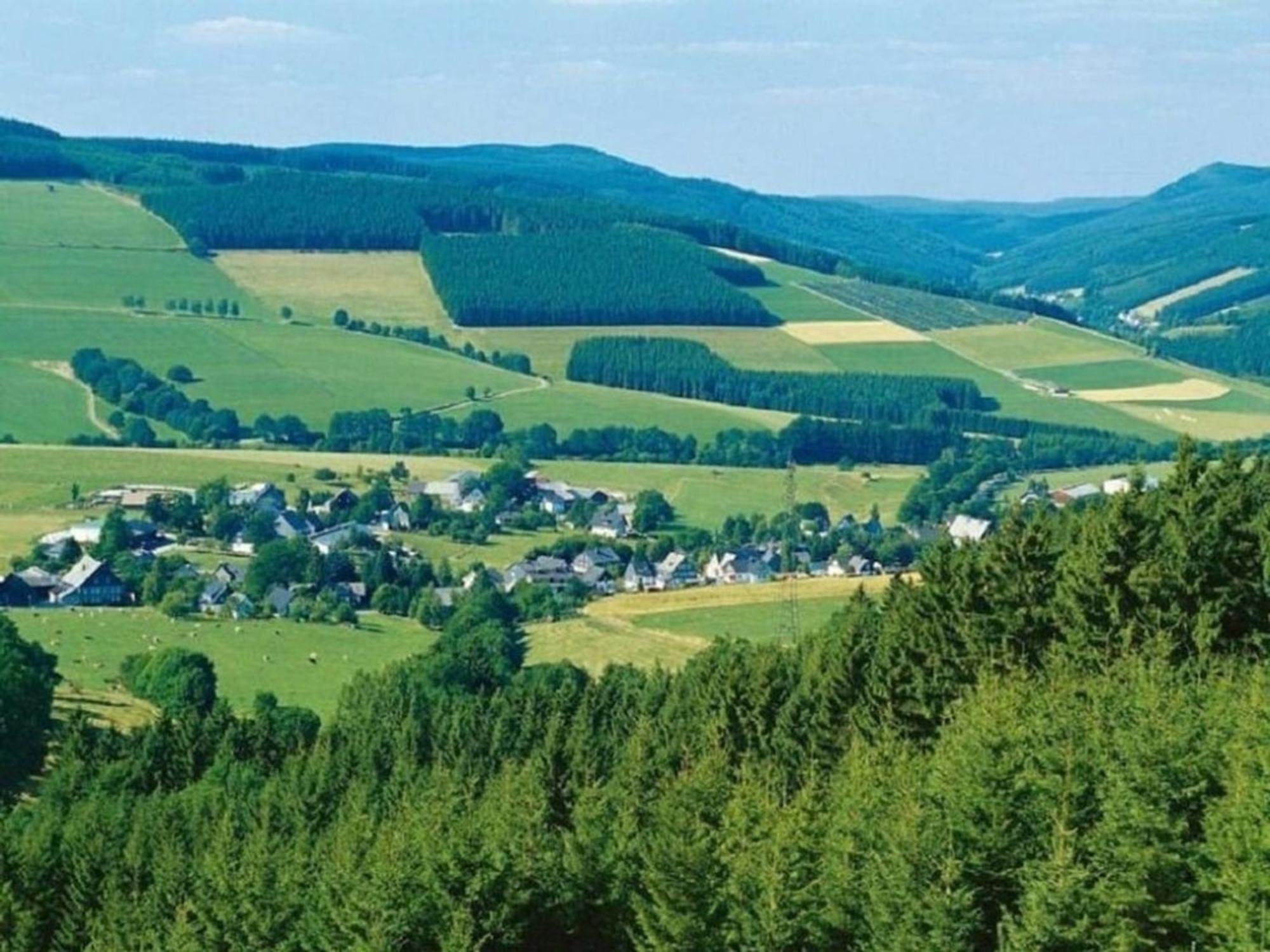 Ferienwohnung Hillebachsee Winterberg Bagian luar foto